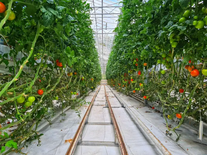 塑料挤出机与造粒机辅机设备配套方案及选型要点