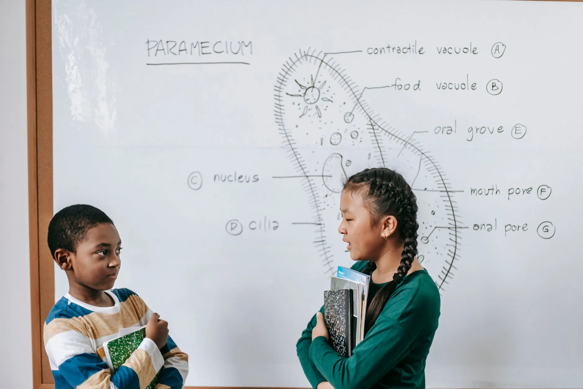 塑料机械行业2026年技术升级趋势及挤出机应用方向