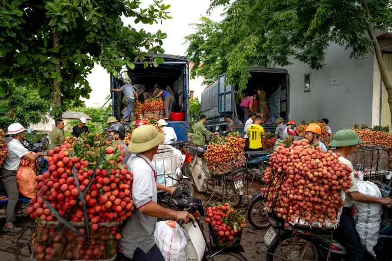 塑料造粒机在再生塑料加工中的应用与工艺参数优化