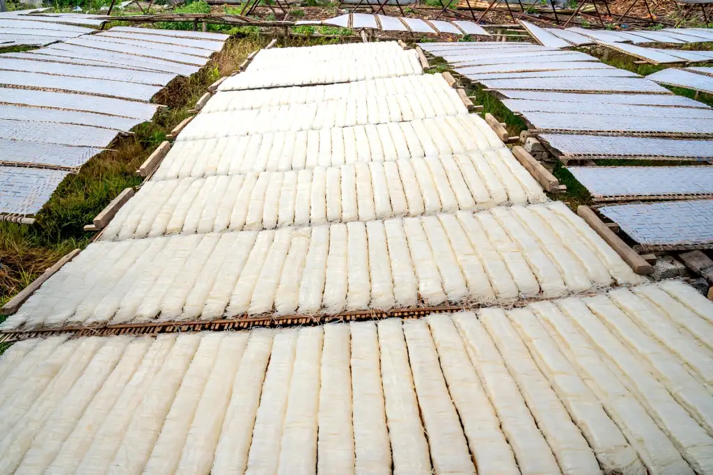 造粒机螺杆组合设计对塑料加工质量的影响解析
