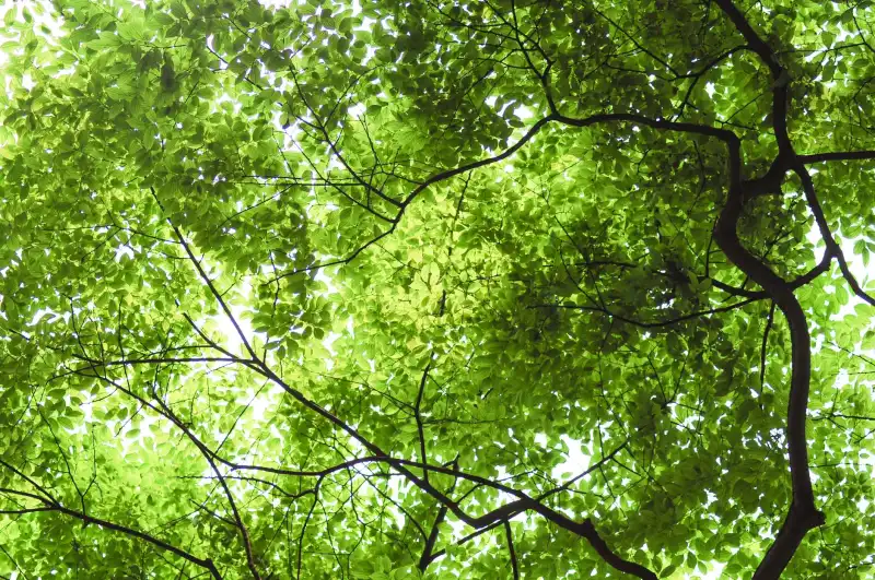 塑料回收造粒生产线常见问题及挤出机工艺参数优化方向