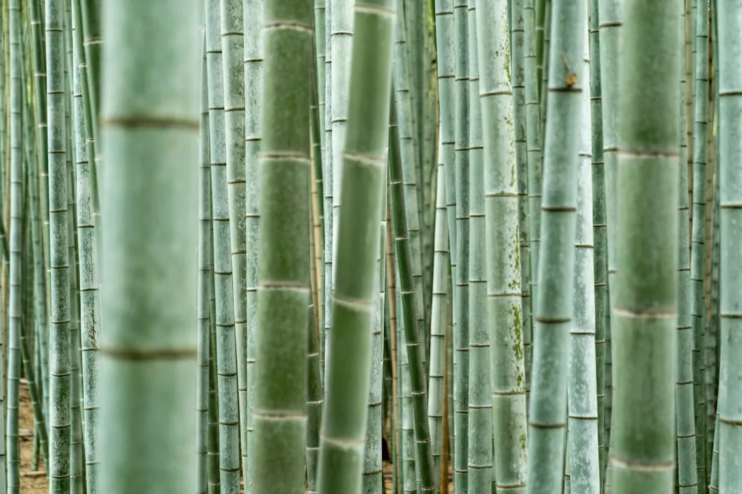 塑料造粒生产线常见故障排查：从主机到辅机设备的系统检查方法正文配图 1