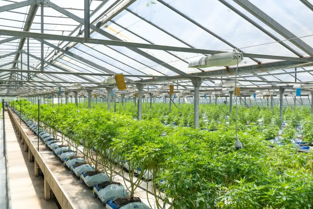 塑料回收造粒生产线中破碎清洗与挤出造粒的衔接方案设计