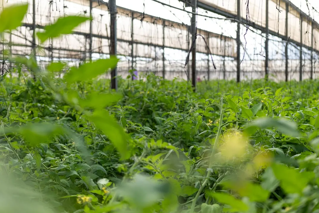 顺平县宜泰恒塑料机械挤出机与造粒机配套辅机选型指南